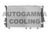AUTOGAMMA 103976 Radiator, engine cooling